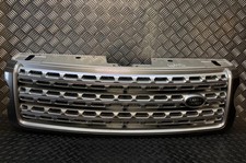 GRIGLIA PRINCIPALE PARAURTI