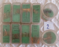 Vendo Stock 10Pz. di  puntine