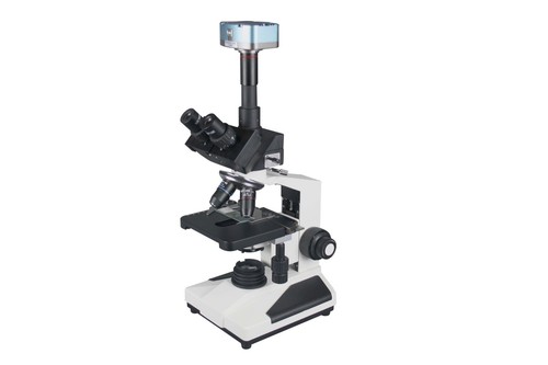 Microscopio digitale