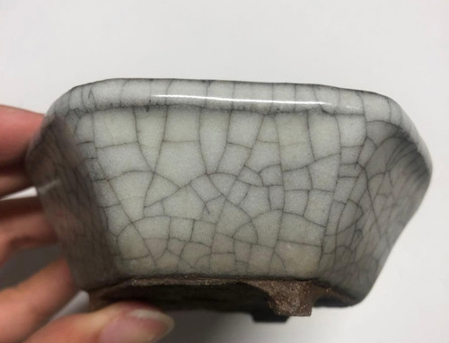 Vaso per bonsai - , giapponese