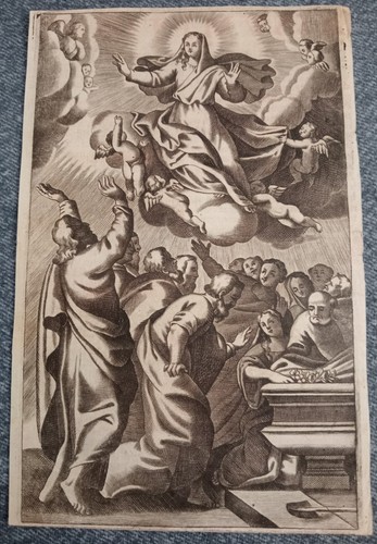 Assunzione maria santissima - di,