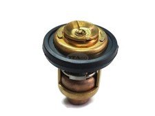 Termostato motore barca