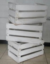 Set 5 cassette frutta nuove in