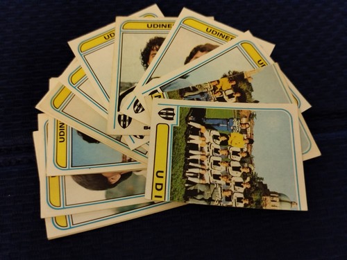 1980 udinese calciatori - 1980-81,