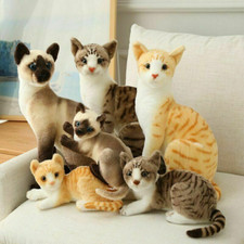 Peluche realistico gatti