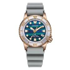 Orologio Citizen Promaster