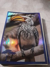 Vendo e Scambio figurine Noi