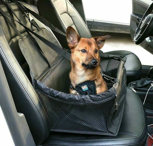 Seggiolino auto per cani - per,