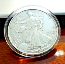 1 DOLLARO ARGENTO 2005-999%  1
