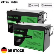 2X Batteria Litio 24V 100Ah