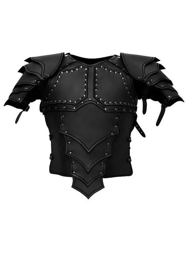 Leather armor with shoulders - leather,