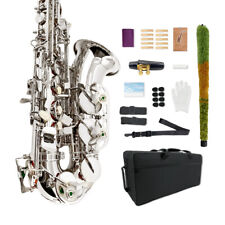 Sax alto argento con custodia, boccaglio, cinghie, ance sassofono kit principianti 
