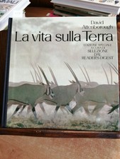 LA VITA SULLA TERRA 1984 DAVID