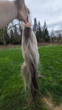 REAL mini pony tail wall