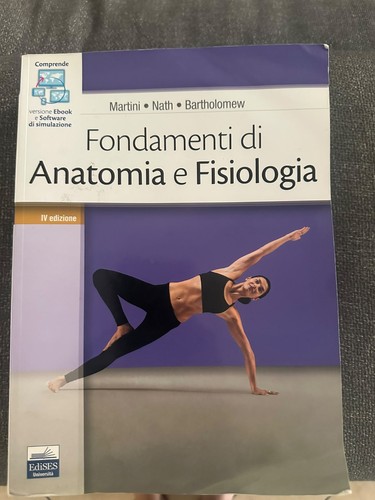 Fondamenti anatomia e - fondamenti,