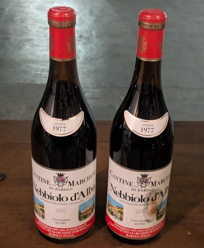 Vino nebbiolo alba - vino,