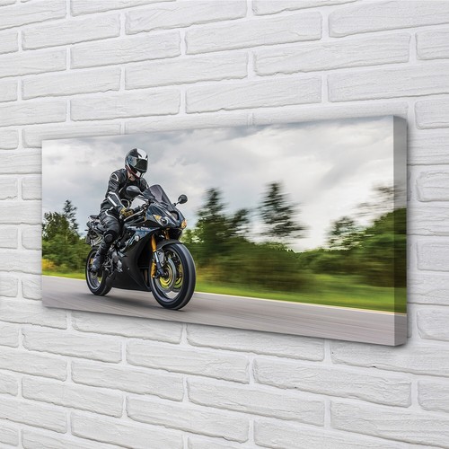 Quadro tela tulup - su,