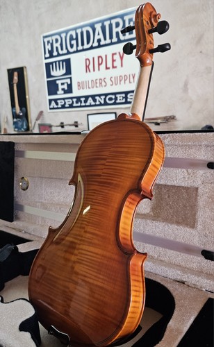VIOLINI-BANCAROTTA-VIOLINO/VIO