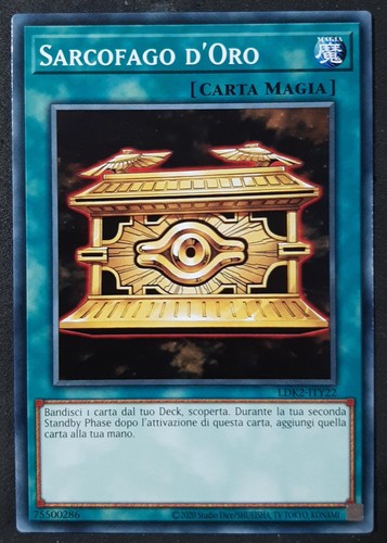 Sarcofago oro in italiano - in,