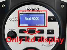 Display LCD 12PIN 128x64