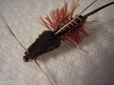 3 x nymphes de mouches de mai