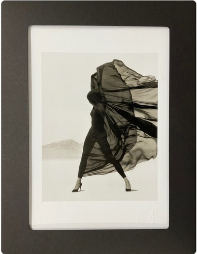 Herb ritts warhol christo - (warhol,