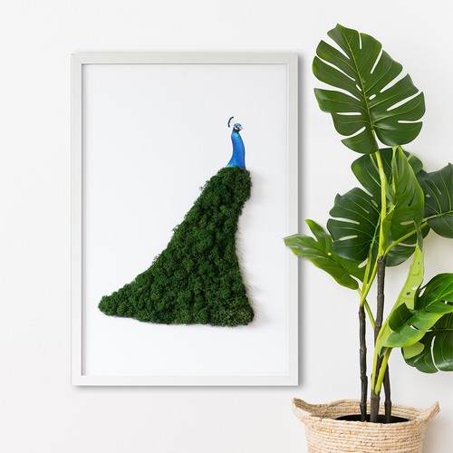 Arte muschio decorazione - arte,
