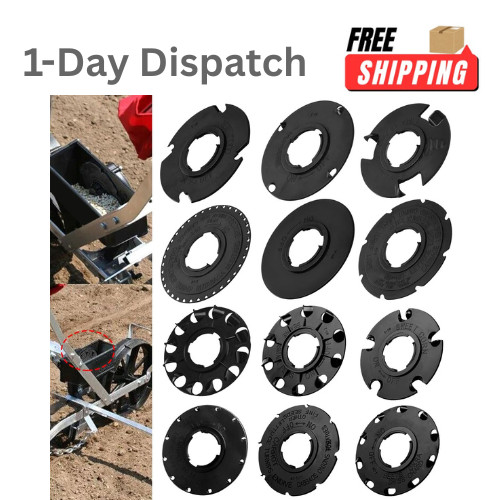 12pcs set piastre - di,