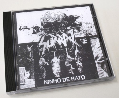 Surra ninho rato bandanos - rato,