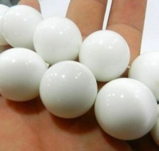 Pietra bianca Tridacna Gigas