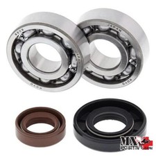 KIT CUSCINETTI ALBERO MOTORE