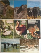 Animali Vari - Lotto di 35