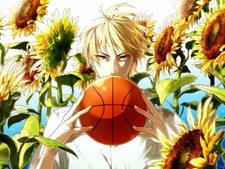 V6219 kuroko basuke kise - no,