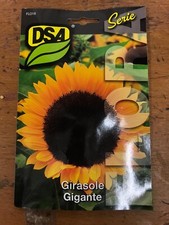 SEMI SEMENTI GIRASOLE GIGANTE
