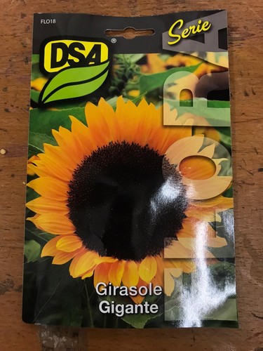 Semi sementi girasole - girasole,