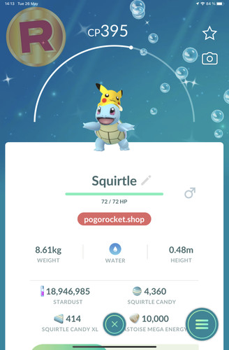 Shiny squirtle pikachu vizor - squirtle,