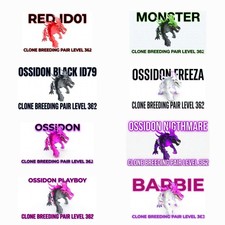 Ossidon Clone Breeding Coppia