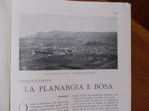 Planargia bosa - planargia, e