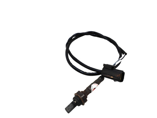 Sonda lambda triumph speed - triumph,