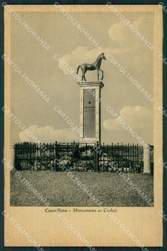 Venezia cavallino cartolina - venezia,