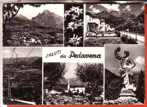 Cartolina pedavena b n - ,