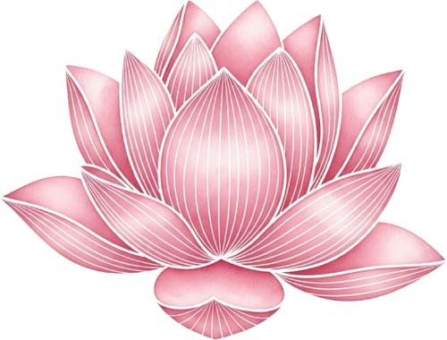 Adesivo vinile colorato - , rosa