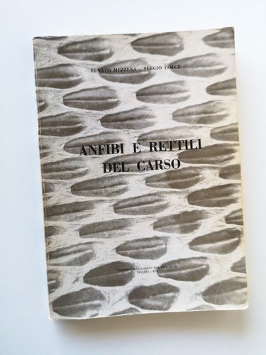 Anfibi rettili del - rettili,