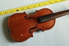 Violino in miniatura 14,2