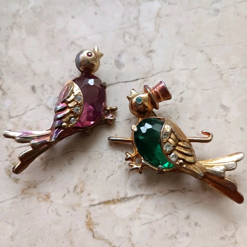 Coppia spille uccellino - di,