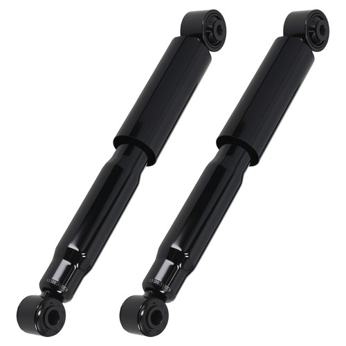 Ammortizzatore posteriore - 2x,