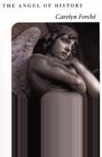 The Angel of History -
