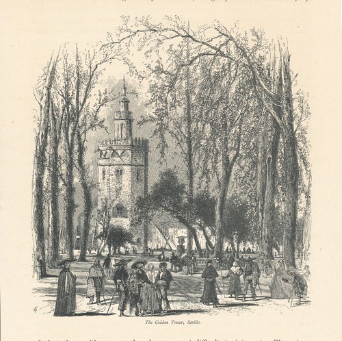 Jmper siviglia la - jmper, torre