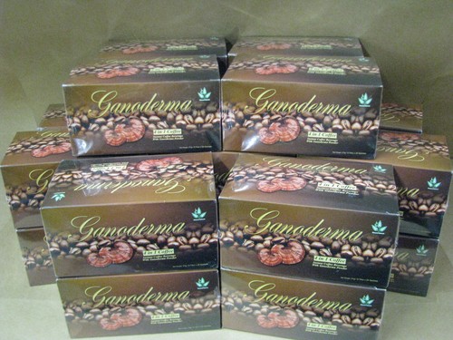 Ganoderma caffè crema e - -1,