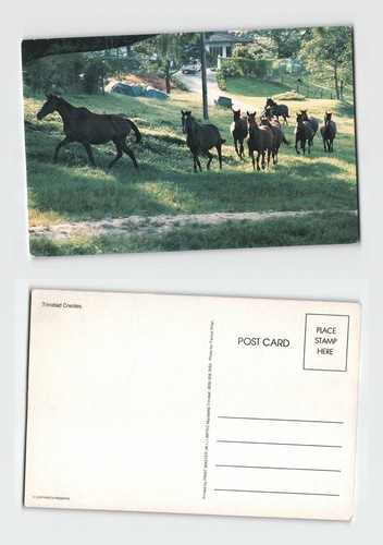 Postcard trinidad creoles - -,